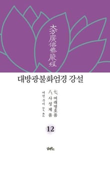 대방광불화엄경 강설 12