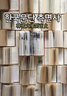 한국문단 측면사