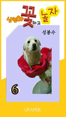 삼월아 꽃하고 놀자 ⑥