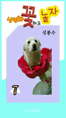 삼월아 꽃하고 놀자 ⑦