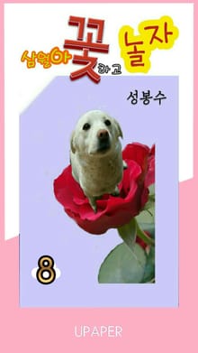 삼월아 꽃하고 놀자 ⑧
