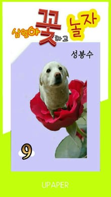 삼월아 꽃하고 놀자 ⑨