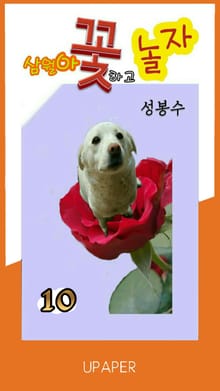 삼월아 꽃하고 놀자 ⑩