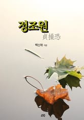 정조원 표지 이미지
