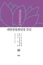 대방광불화엄경 강설 16 표지 이미지