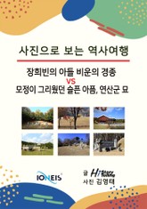 [사진으로 보는 역사여행] 장희빈의 아들 비운의 경종 vs 모정이 그리웠던 슬픈 아픔, 연산군 묘 표지 이미지