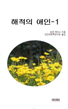 해적의 애인
