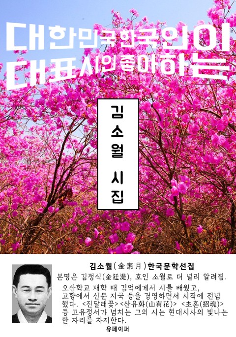 김소월 시집 - 한국문학선집 표지 이미지