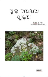 꿈은 기다리지 않는다 표지 이미지