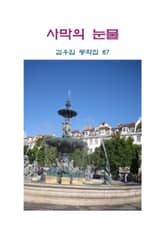 사막의 눈물 표지 이미지