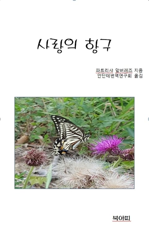 사랑의 항구 표지 이미지