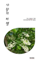 사랑의 비행 표지 이미지