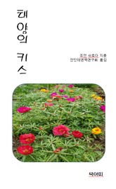 태양의 키스 표지 이미지