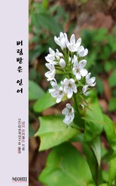 버림받은 인어 표지 이미지