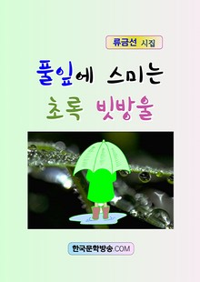 풀잎에 스미는 초록 빗방울