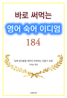 바로 써먹는 영어 숙어 이디엄 184 (관용구)