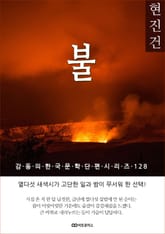 현진건 불 표지 이미지