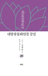 대방광불화엄경 강설 20 : 십행품 2 표지 이미지