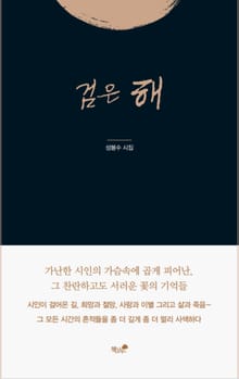 검은 해