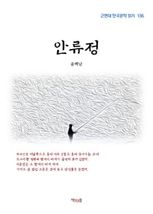안류정