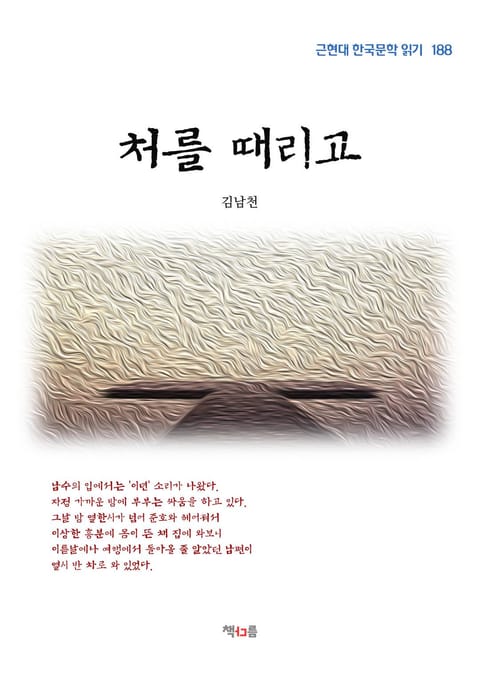 처를 때리고 표지 이미지