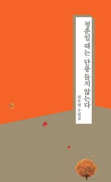 청춘일 때는 단풍들지 않는다