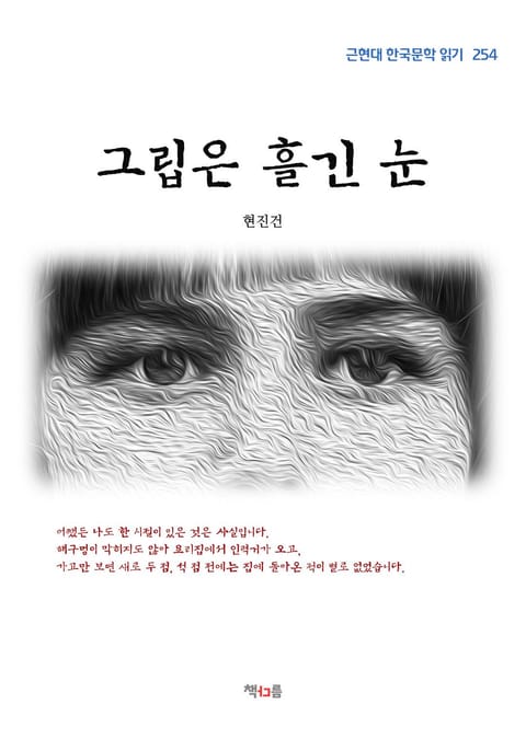 그립은 흘긴 눈 표지 이미지