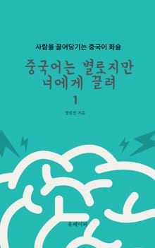 중국어는 별로지만 너에게 끌려