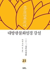 대방광불화엄경 강설 21: 십무진장품 표지 이미지