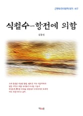 식철수-항전에 의함 표지 이미지