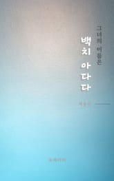 백치아다다 표지 이미지