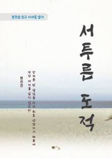 현진건 서투른 도적