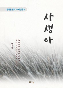 윤기정 사생아