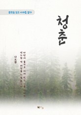 나도향 청춘 표지 이미지