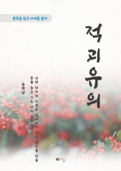 윤백남 적괴유의 표지 이미지