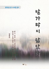 김동인 발가락이 닮았다 표지 이미지