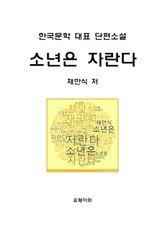 소년은 자란다 표지 이미지