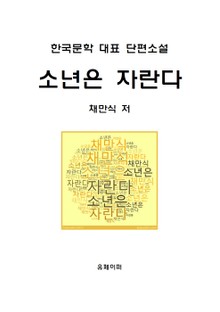 소년은 자란다