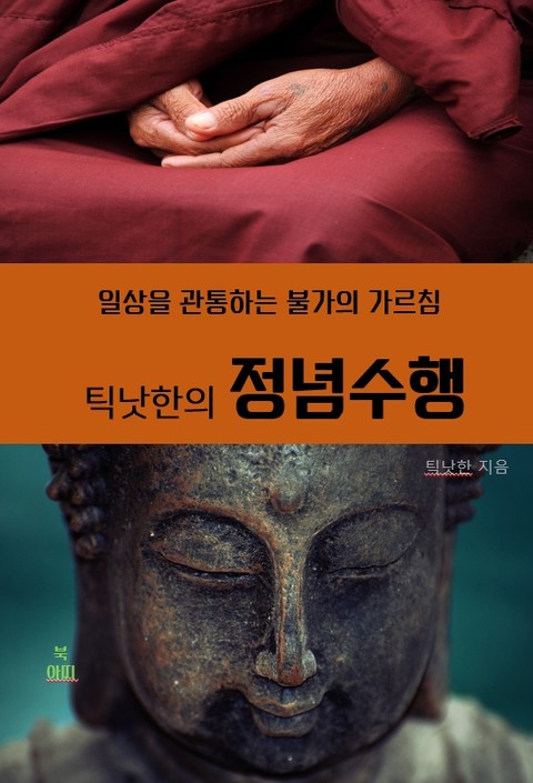 틱낫한의 정념수행 표지 이미지