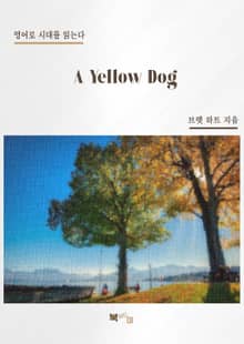 A Yellow Dog