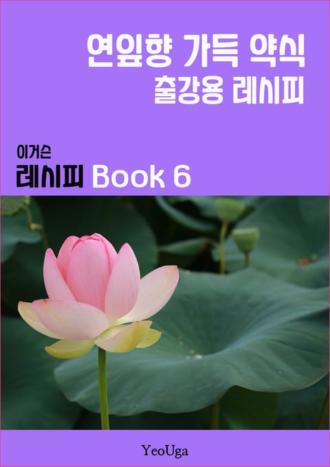 이거슨 레시피 BOOK 6 (연잎향 가득 약식) 표지 이미지