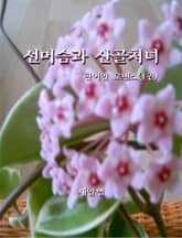 선머슴과 산골처녀 표지 이미지