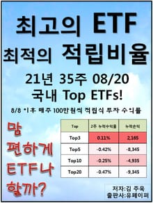 최고의 ETF, 최적의 적립비율,21.35_08/20국내Top ETFs