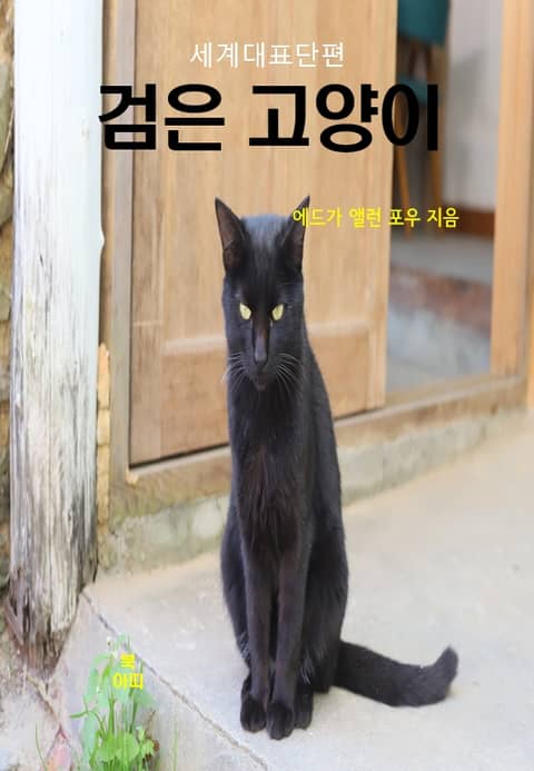 에드가 앨런 포우의 검은 고양이 표지 이미지
