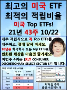 최고의 미국ETF, 최적의 적립비율,21.43.10.22 TopETFs