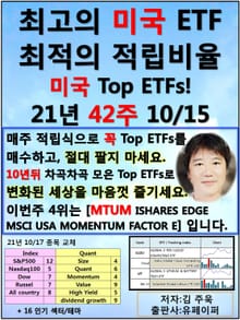최고의 미국ETF, 최적의 적립비율,21.42.10.15 TopETFs