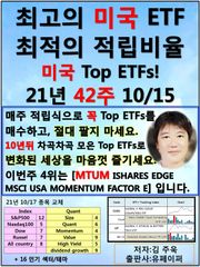최고의 미국ETF, 최적의 적립비율,21.42.10.15 TopETFs