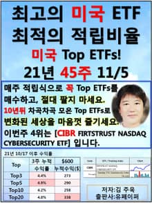최고의 미국ETF, 최적의 적립비율,21.45.11.05 TopETFs