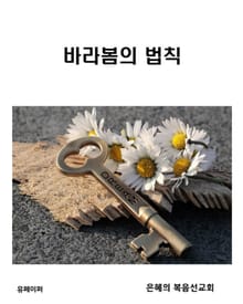 바라봄의 법칙