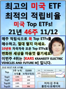 최고의 미국ETF, 최적의 적립비율,21.46.11.12 TopETFs